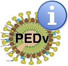PEDvirus