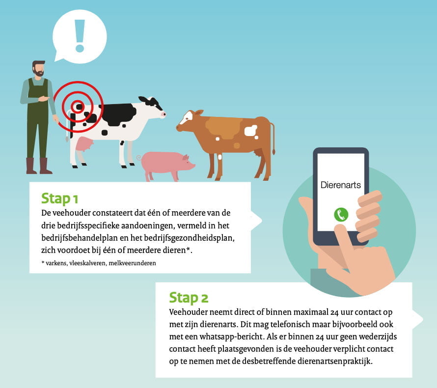 Antibiotica in de veehouderij