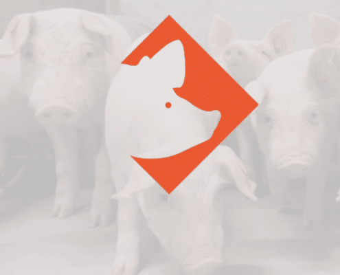 varkenspraktijk nieuwsbericht